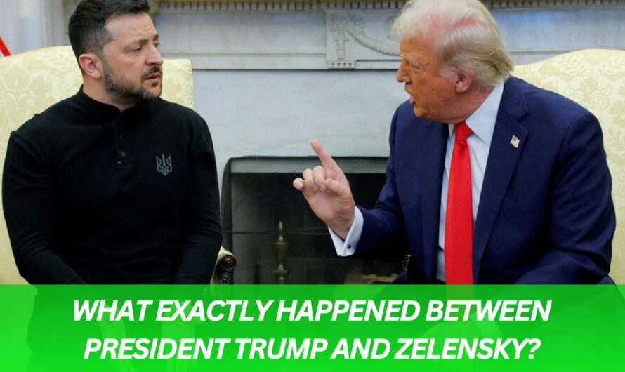 What Exactly Happened Between President Trump and Zelensky?